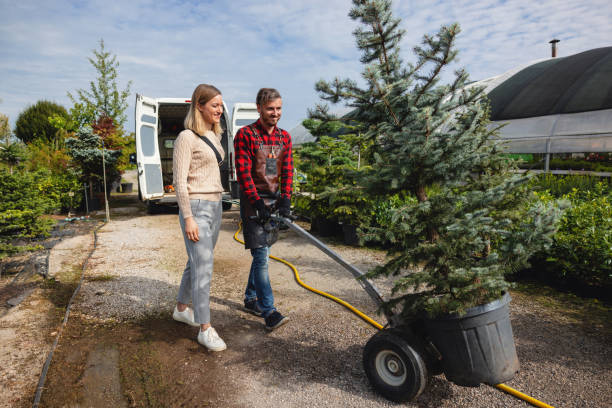 Best Emergency Storm Tree Removal  in Buckhall, VA